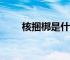 核捆梆是什么意思（什么是核捆绑）