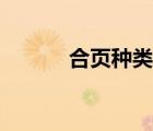 合页种类名称大全（合页种类）