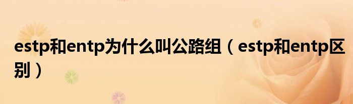 estp和entp为什么叫公路组（estp和entp区别）