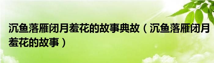 沉鱼落雁闭月羞花的故事典故（沉鱼落雁闭月羞花的故事）