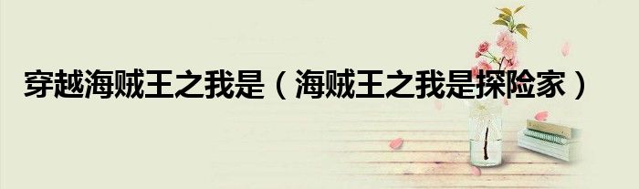 穿越海贼王之我是（海贼王之我是探险家）