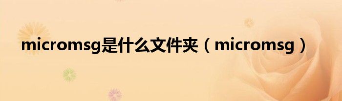 micromsg是什么文件夹（micromsg）
