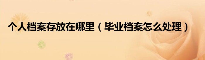 个人档案存放在哪里（毕业档案怎么处理）