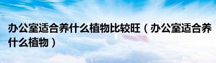 办公室适合养什么植物比较旺（办公室适合养什么植物）