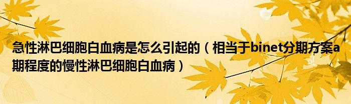 急性淋巴细胞白血病是怎么引起的（相当于binet分期方案a期程度的慢性淋巴细胞白血病）