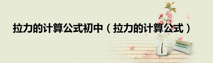 拉力的计算公式初中（拉力的计算公式）