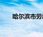 哈尔滨市劳动用工信息备案管理系统