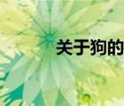 关于狗的成语（关于鸡的成语）