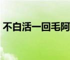 不白活一回毛阿敏歌词（不白活一回毛阿敏）