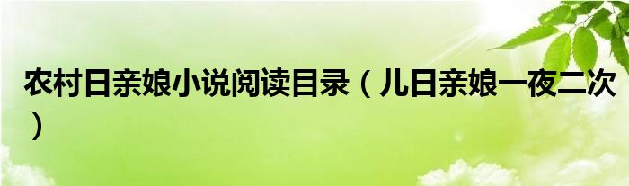 农村日亲娘小说阅读目录（儿日亲娘一夜二次）