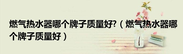燃气热水器哪个牌子质量好?（燃气热水器哪个牌子质量好）