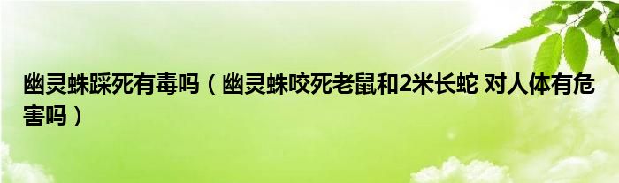 幽灵蛛踩死有毒吗（幽灵蛛咬死老鼠和2米长蛇 对人体有危害吗）