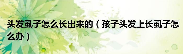 头发虱子怎么长出来的（孩子头发上长虱子怎么办）