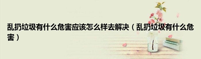 乱扔垃圾有什么危害应该怎么样去解决（乱扔垃圾有什么危害）