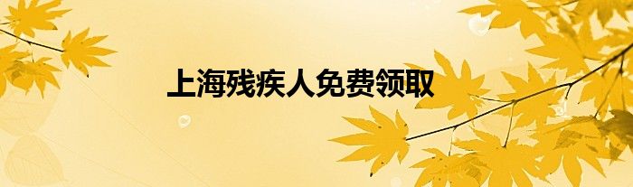 上海残疾人免费领取