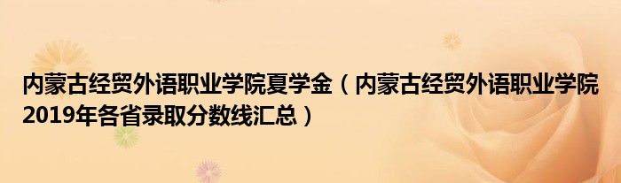 内蒙古经贸外语职业学院夏学金（内蒙古经贸外语职业学院2019年各省录取分数线汇总）
