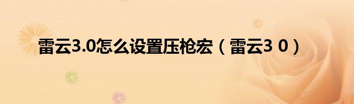 雷云3.0怎么设置压枪宏（雷云3 0）