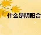 什么是阴阳合同（阴阳合同是什么意思）