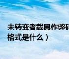 未转变者载具作弊码格式是什么样的（未转变者载具作弊码格式是什么）