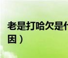 老是打哈欠是什么原因（女人老打哈欠什么原因）