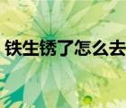 铁生锈了怎么去除物理（铁生锈了怎么去除）