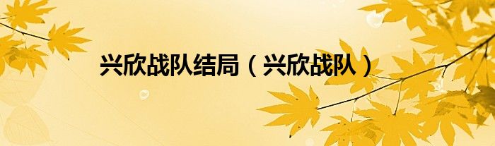 兴欣战队结局（兴欣战队）