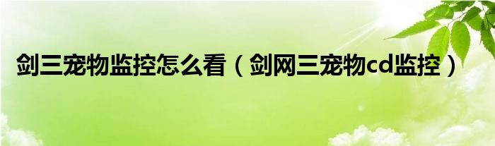剑三宠物监控怎么看（剑网三宠物cd监控）