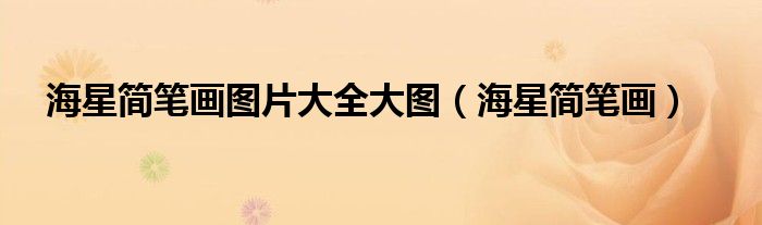 海星简笔画图片大全大图（海星简笔画）