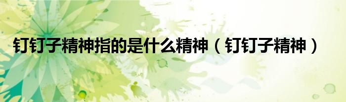 钉钉子精神指的是什么精神（钉钉子精神）