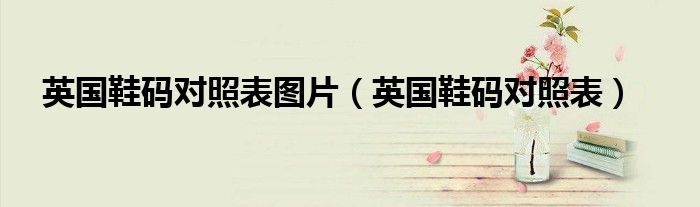 英国鞋码对照表图片（英国鞋码对照表）