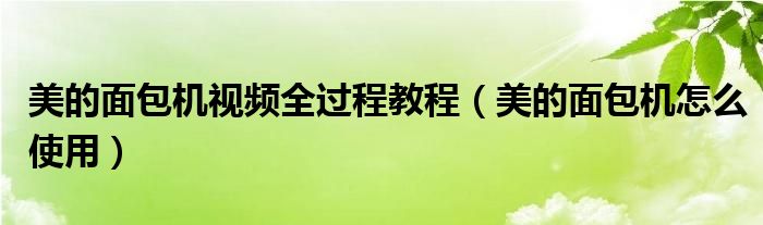 美的面包机视频全过程教程（美的面包机怎么使用）