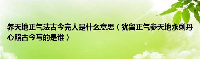 养天地正气法古今完人是什么意思（犹留正气参天地永剩丹心照古今写的是谁）