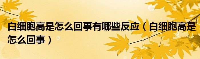 白细胞高是怎么回事有哪些反应（白细胞高是怎么回事）