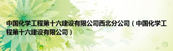 中国化学工程第十六建设有限公司西北分公司（中国化学工程第十六建设有限公司）