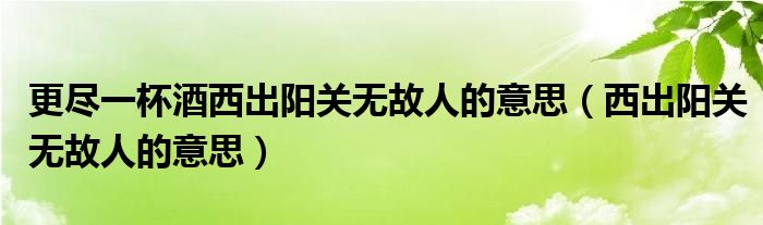 更尽一杯酒西出阳关无故人的意思（西出阳关无故人的意思）