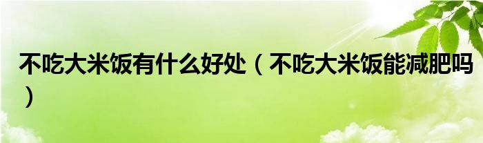 不吃大米饭有什么好处（不吃大米饭能减肥吗）