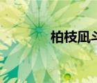 柏枝凪斗怎么读（柏枝凪斗）