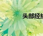 头部经络图解大全（百汇穴）