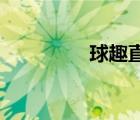 球趣直播网（qq直播网）
