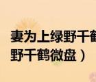 妻为上绿野千鹤小说未删减笔趣阁（妻为上绿野千鹤微盘）