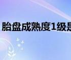 胎盘成熟度1级是什么意思（胎盘成熟度1级）