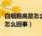 白细胞高是怎么回事有哪些反应（白细胞高是怎么回事）