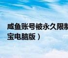 咸鱼账号被永久限制怎样通过淘宝人工客服解封（咸鱼网淘宝电脑版）