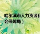 哈尔滨市人力资源和社会保障局官网（哈尔滨市人力资源社会保障局）