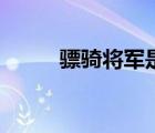骠骑将军是干什么的（骠骑将军）