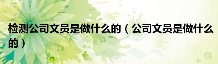 检测公司文员是做什么的（公司文员是做什么的）