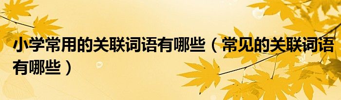 小学常用的关联词语有哪些（常见的关联词语有哪些）