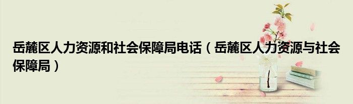 岳麓区人力资源和社会保障局电话（岳麓区人力资源与社会保障局）