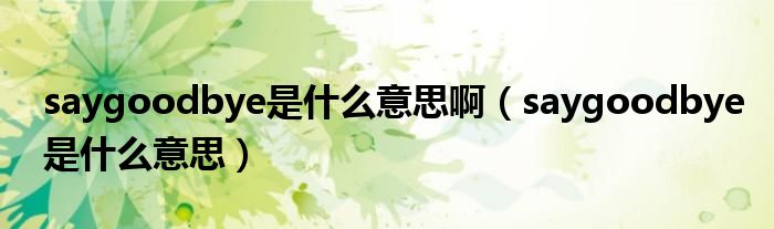 saygoodbye是什么意思啊（saygoodbye是什么意思）