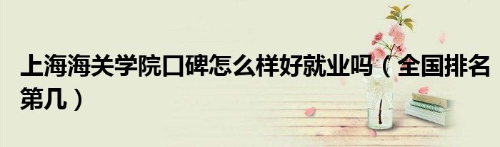上海海关学院口碑怎么样好就业吗（全国排名第几）